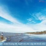 Biển Cồn Vành – Thiên nhiên hoang dã, tuyệt vời cho cặp đôi thích trải nghiệm và chụp ảnh.